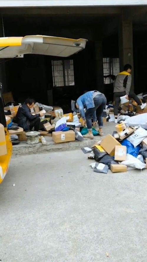 吃瓜装车,揭秘瓜农的智慧与辛劳