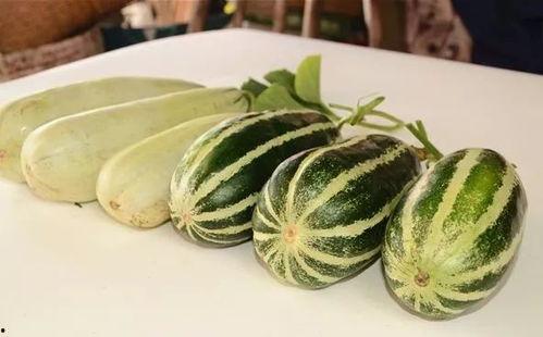 网红小鱼吃瓜,揭秘娱乐圈幕后真相