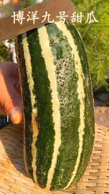 这个瓜还可以吃吗,还能安心食用吗？