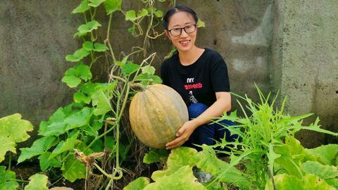 吃瓜小农,揭秘农村生活的酸甜苦辣