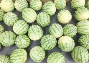 当当 吃瓜,揭秘娱乐圈的甜蜜与苦涩