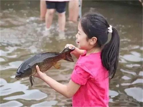 吃瓜看戏摸鱼鱼,揭秘网络时代的娱乐生活