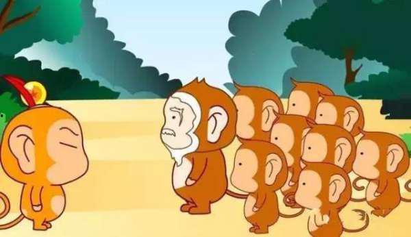 猴王吃瓜的视频,瓜果盛宴欢乐无限