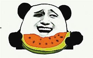 吃瓜群众新手视频下载,新手如何轻松下载吃瓜群众热门视频