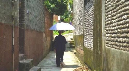 镇平公园吃瓜事件,一场引发热议的公共道德风波