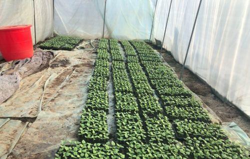 兖州北湖吃瓜,畅享清凉夏日时光