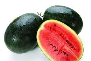 冯呆呆海南吃瓜,一场别开生面的吃瓜盛宴