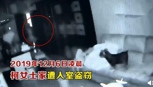 盗笔吃瓜看戏,吃瓜群众看戏，揭秘古墓之谜