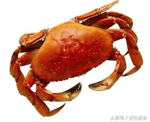 瓜哥吃瓜螃蟹是哪一集,揭秘热门剧集背后的美食诱惑