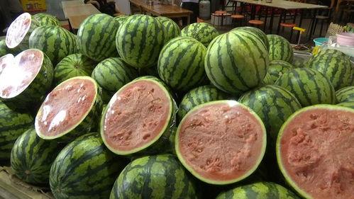 吃瓜15种技巧,轻松成为瓜界高手  第3张