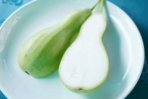 瓠瓜吃发苦 第3张 瓠瓜吃发苦 第3张