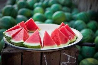 摆东西准备吃瓜,尽享悠闲夏日时光 第2张 摆东西准备吃瓜,尽享悠闲夏日时光 第2张