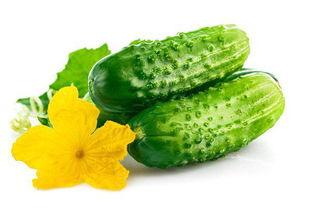 减肥高瓜可以吃吗,高瓜是否适宜食用?揭秘高瓜在减肥饮食中的角色 第3张 减肥高瓜可以吃吗,高瓜是否适宜食用?揭秘高瓜在减肥饮食中的角色 第3张