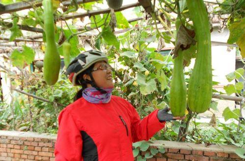 吃瓜砍人,揭秘娱乐圈背后的真实故事  第2张