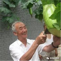 吃瓜砍人,揭秘娱乐圈背后的真实故事  第3张