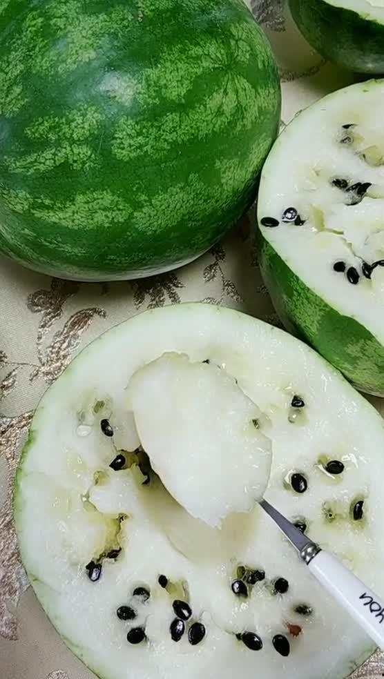 东北蛇精吃瓜  第1张