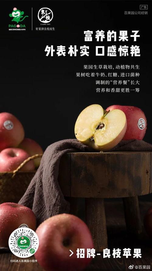 吃奶茶吃瓜文案,品味奶茶，畅谈瓜事  第3张
