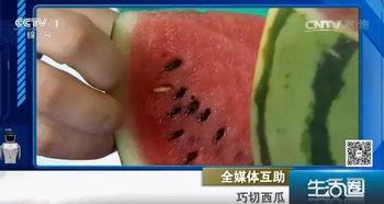 吃瓜不吐籽w  第1张
