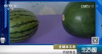 吃瓜不吐籽w  第2张