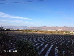 吃瓜小队大理旅游,吃瓜小队的悠闲探秘记  第2张