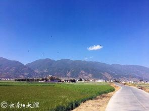 吃瓜小队大理旅游,吃瓜小队的悠闲探秘记  第3张