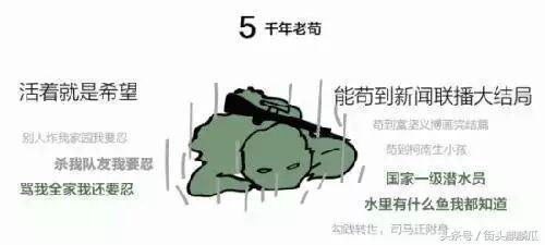 瓜哥带你吃瓜看世界,领略世界百态  第2张