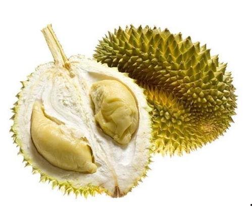 吃哈密瓜可以吃榴莲吗,美味搭配的奇妙之旅  第2张