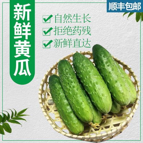 黄瓜嫩瓜怎么吃  第2张