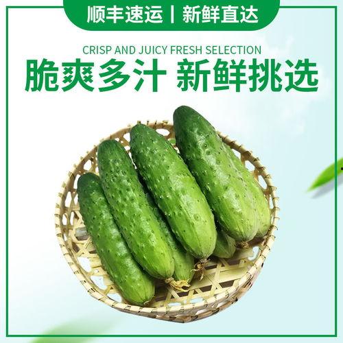 黄瓜嫩瓜怎么吃  第3张