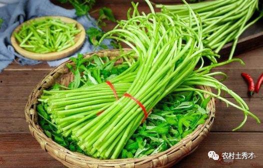 蒿弟吃瓜,揭秘娱乐圈那些不为人知的幕后故事  第2张